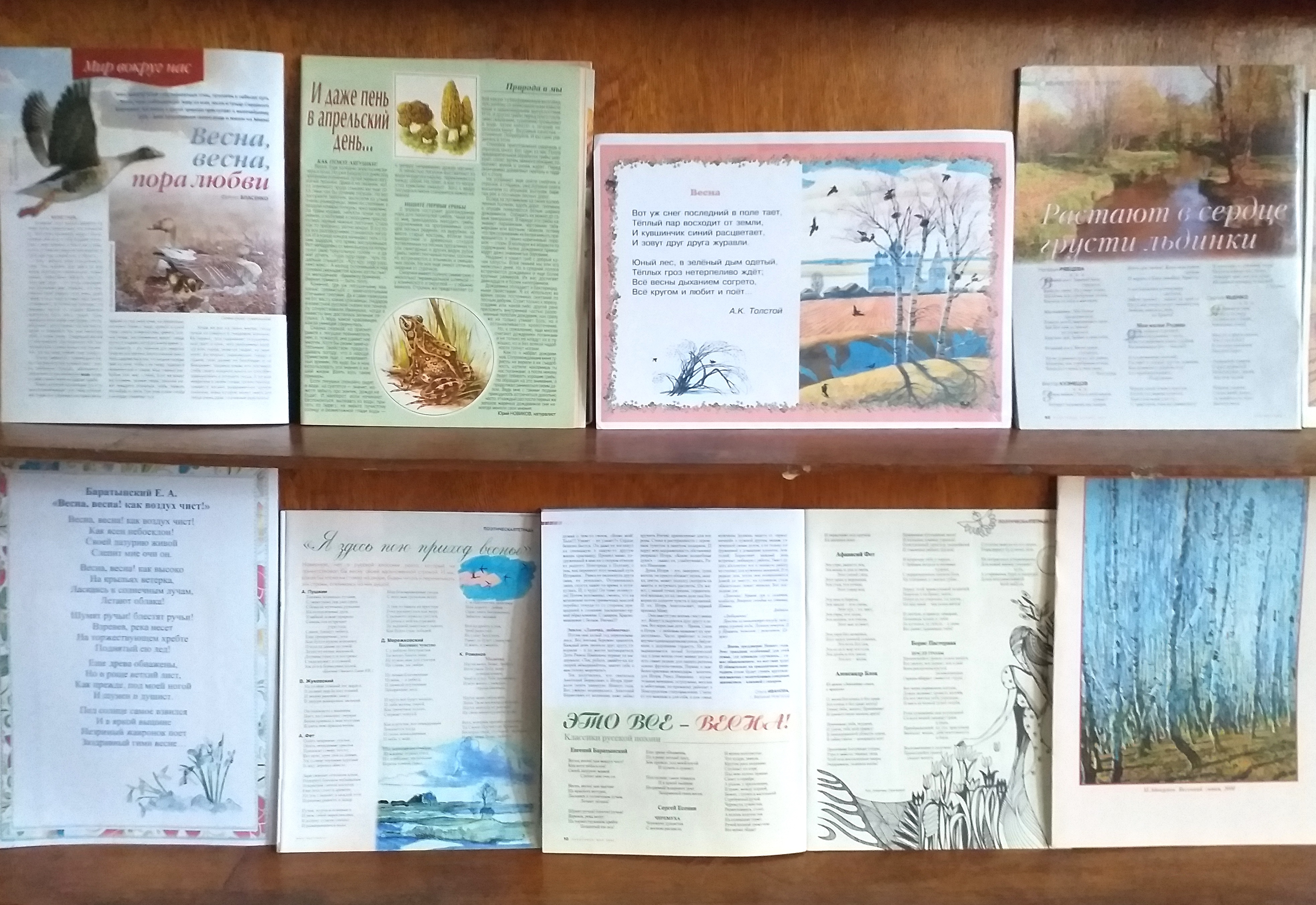 Студенты СГУ стали призёрами и победителями номинаций «Российской студенческой весны - 2023»