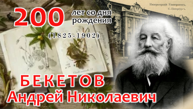 Студенты СГУ стали призёрами и победителями номинаций «Российской студенческой весны - 2023»