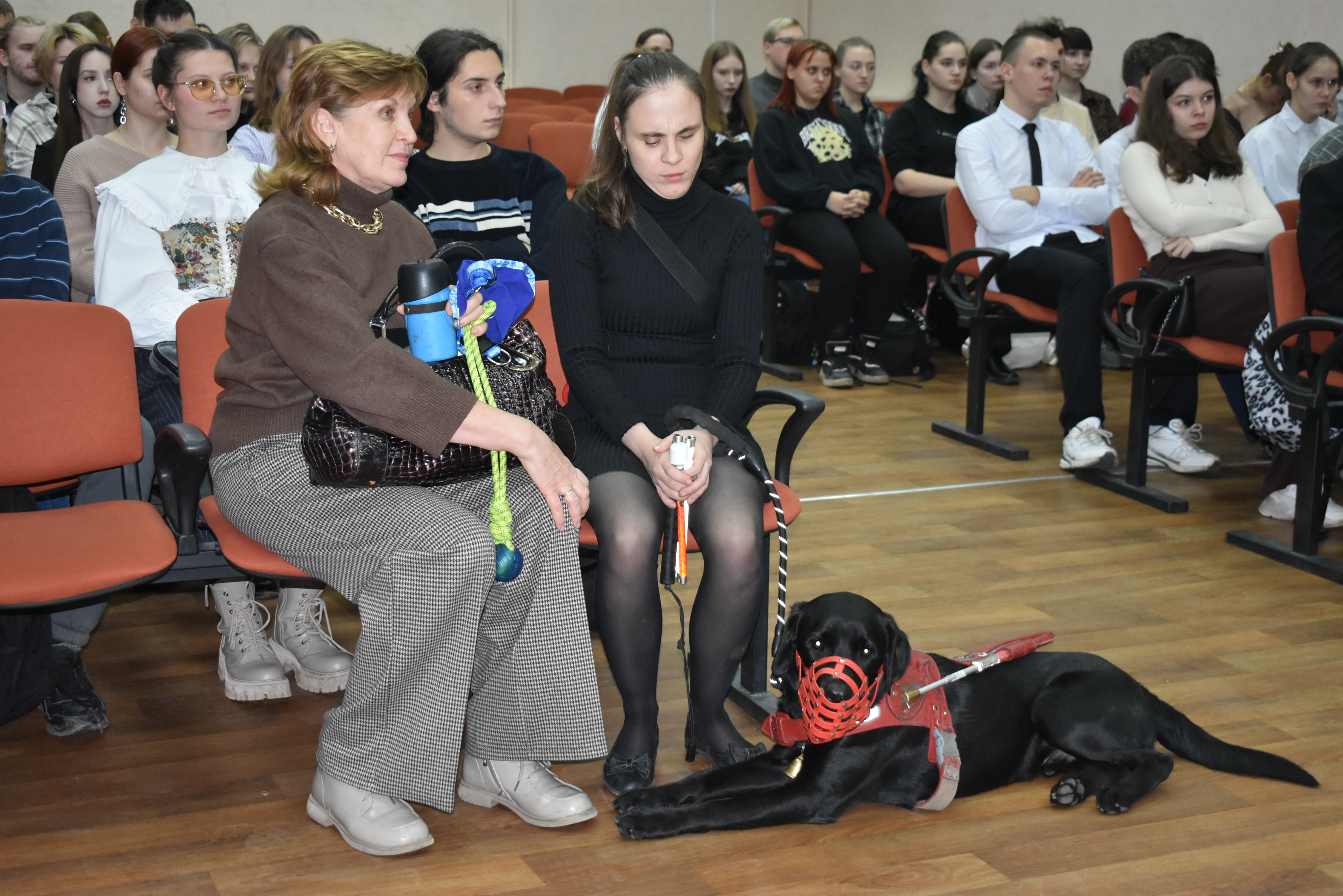 Студенты СГУ стали призёрами и победителями номинаций «Российской студенческой весны - 2023»