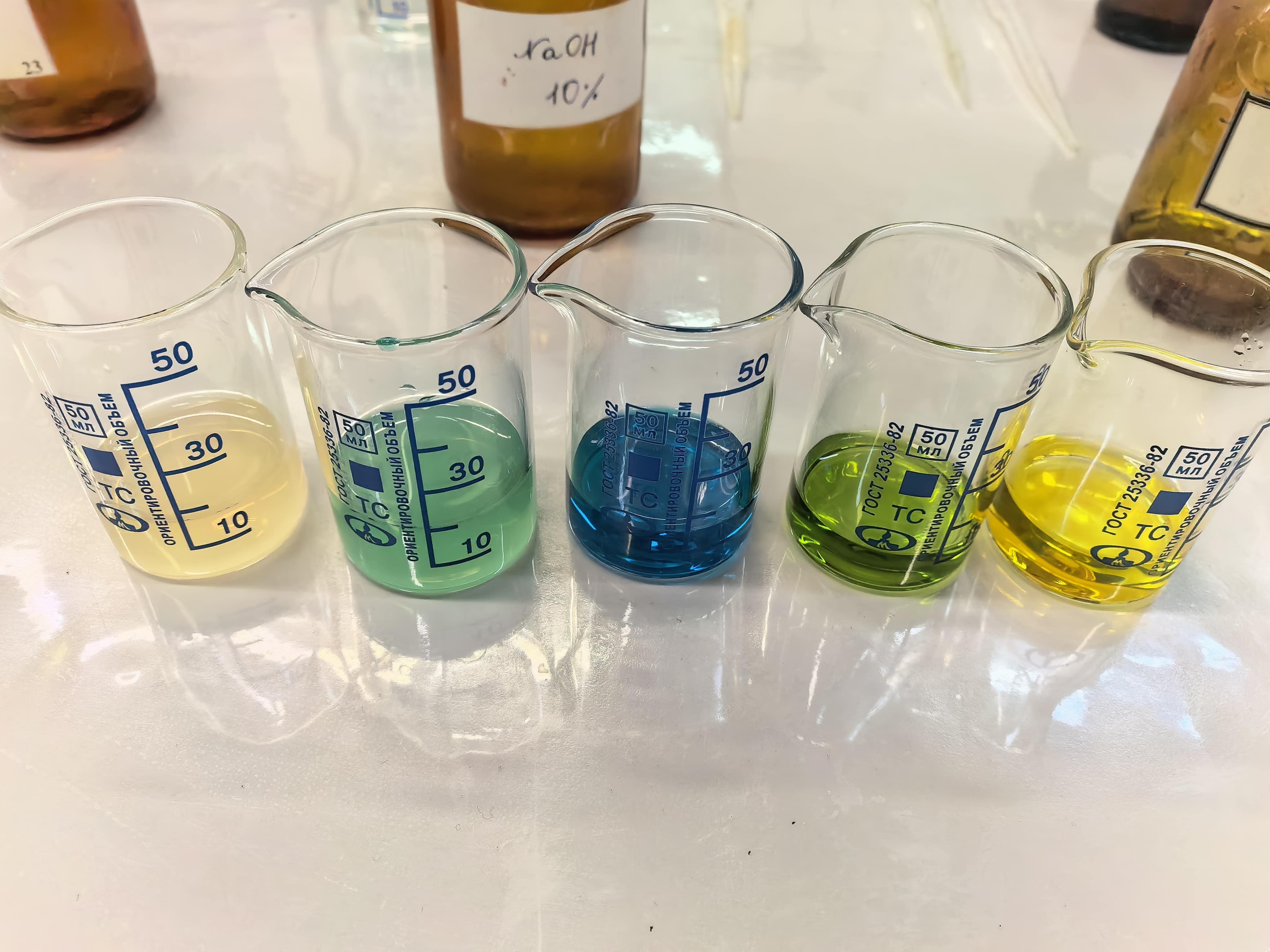 Студенты СГУ стали призёрами и победителями номинаций «Российской студенческой весны - 2023»