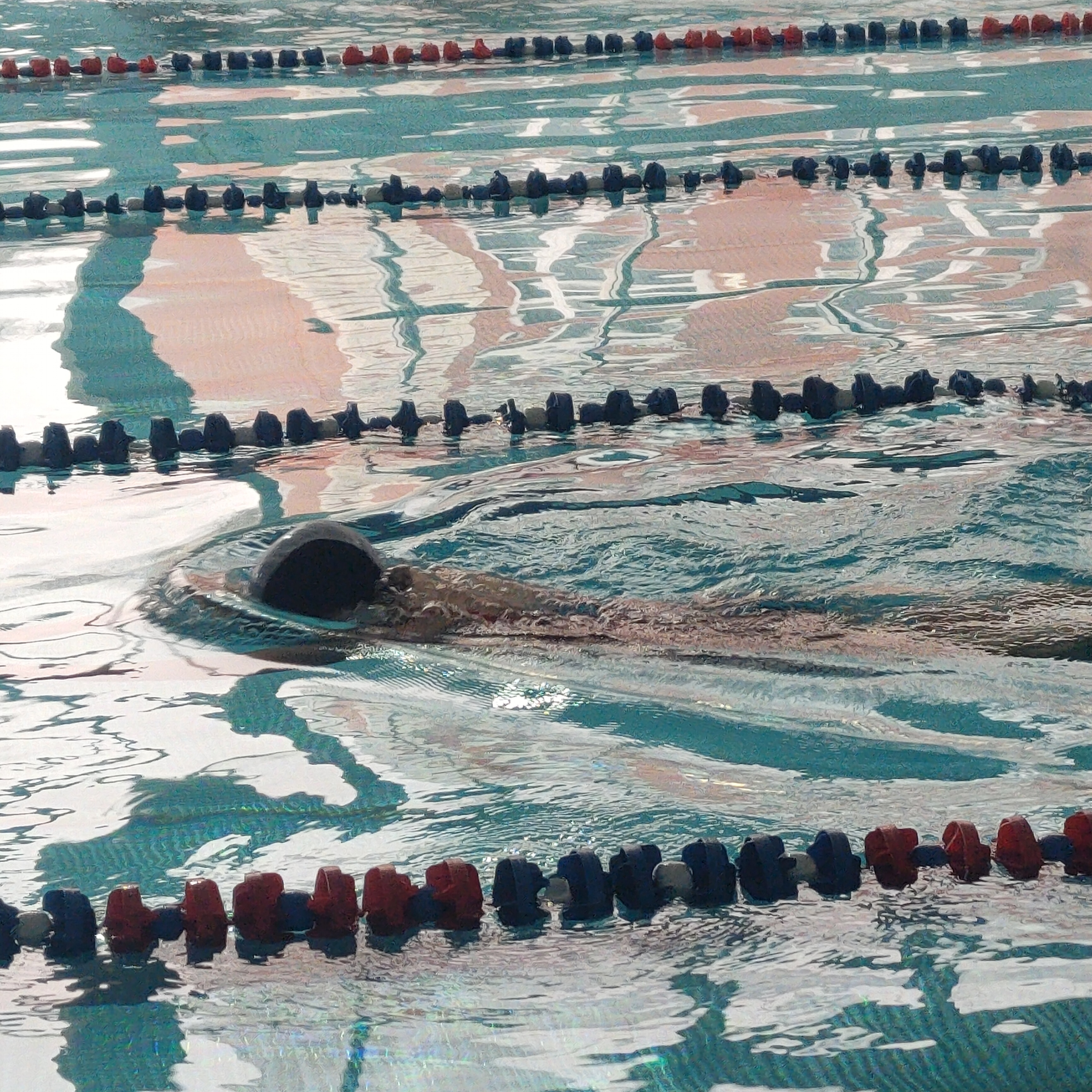 Студенты СГУ стали призёрами и победителями номинаций «Российской студенческой весны - 2023»