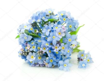 Студенты СГУ стали призёрами и победителями номинаций «Российской студенческой весны - 2023»