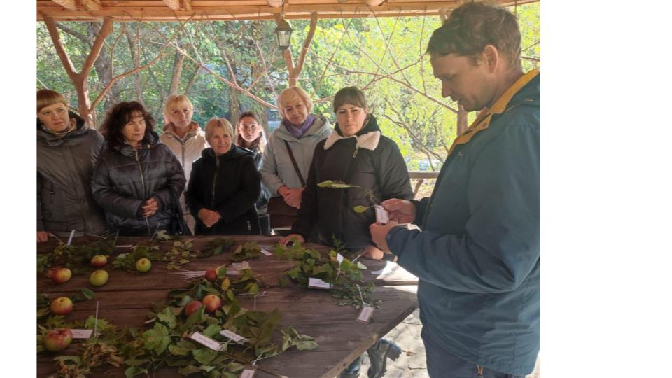 Студенты СГУ стали призёрами и победителями номинаций «Российской студенческой весны - 2023»