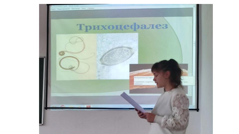 Студенты СГУ стали призёрами и победителями номинаций «Российской студенческой весны - 2023»