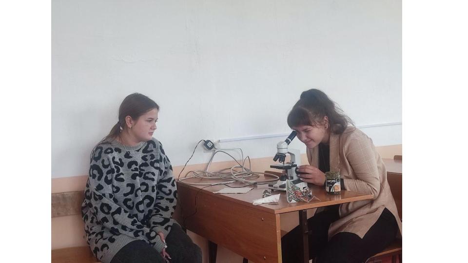 Студенты СГУ стали призёрами и победителями номинаций «Российской студенческой весны - 2023»