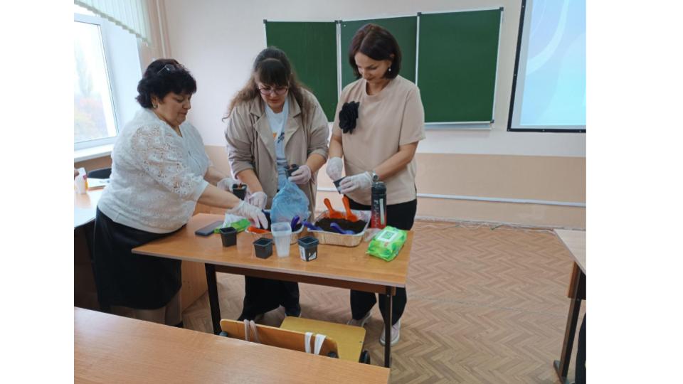 Студенты СГУ стали призёрами и победителями номинаций «Российской студенческой весны - 2023»