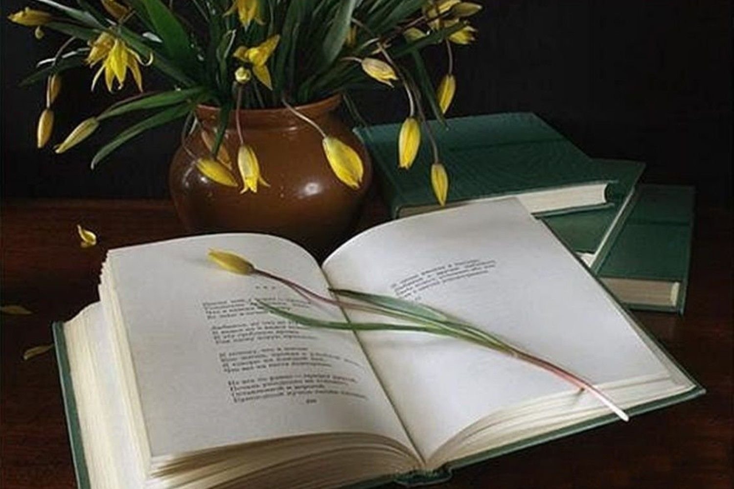 Студенты СГУ стали призёрами и победителями номинаций «Российской студенческой весны - 2023»