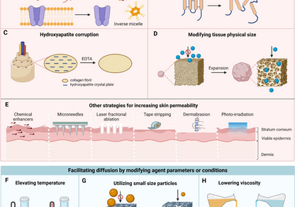 Грант РНФ № 24-44-00082