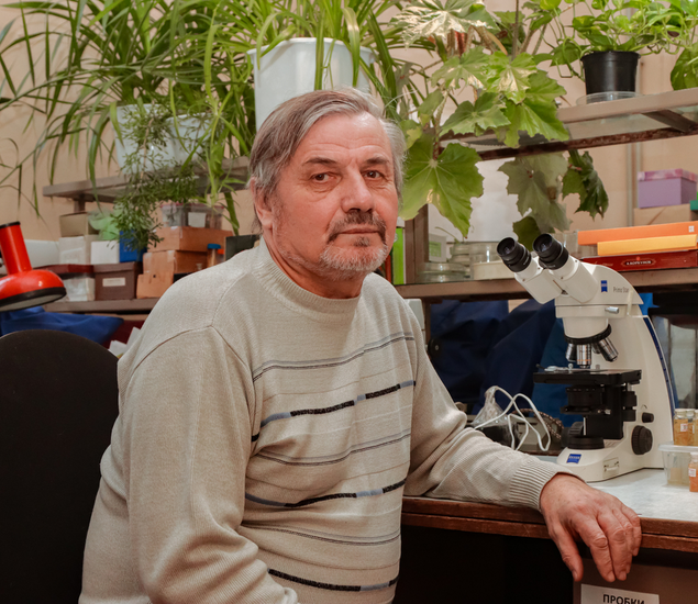 Кашин Александр Степанович