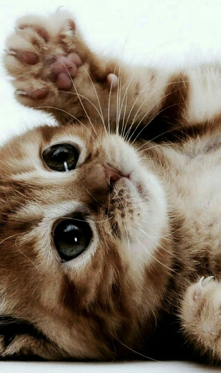 fffffffff