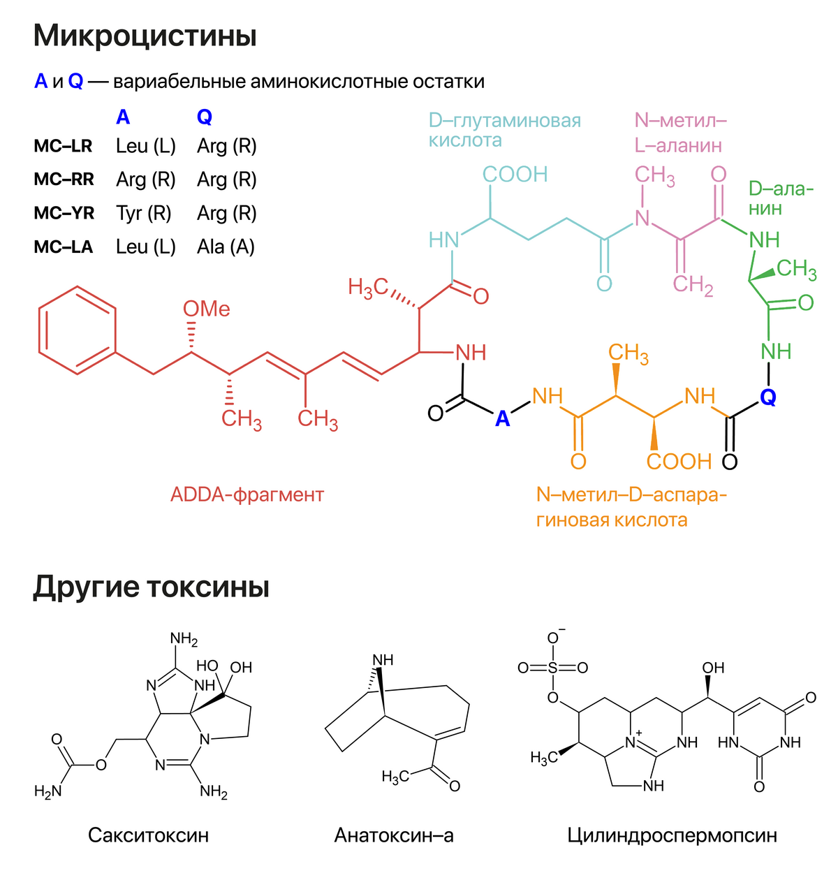 Экспресс определение цианотоксинов