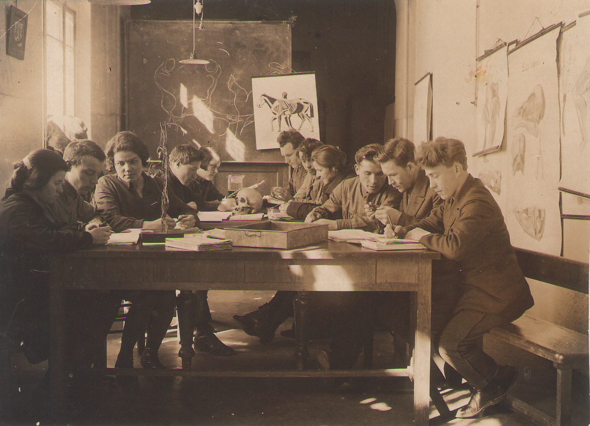 Занятие по зоологии 1930-е гг.